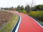 joging.jpg